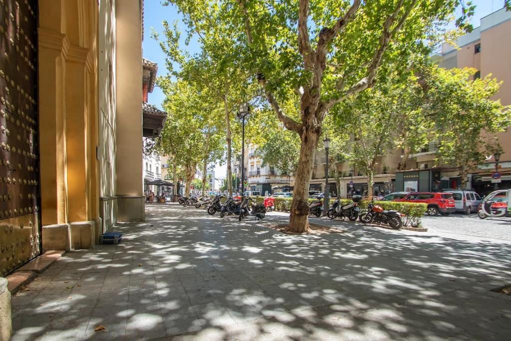 Appartement Muy Centrico, Tranquilo Y Confortable **a/c-wifi** Sevilla